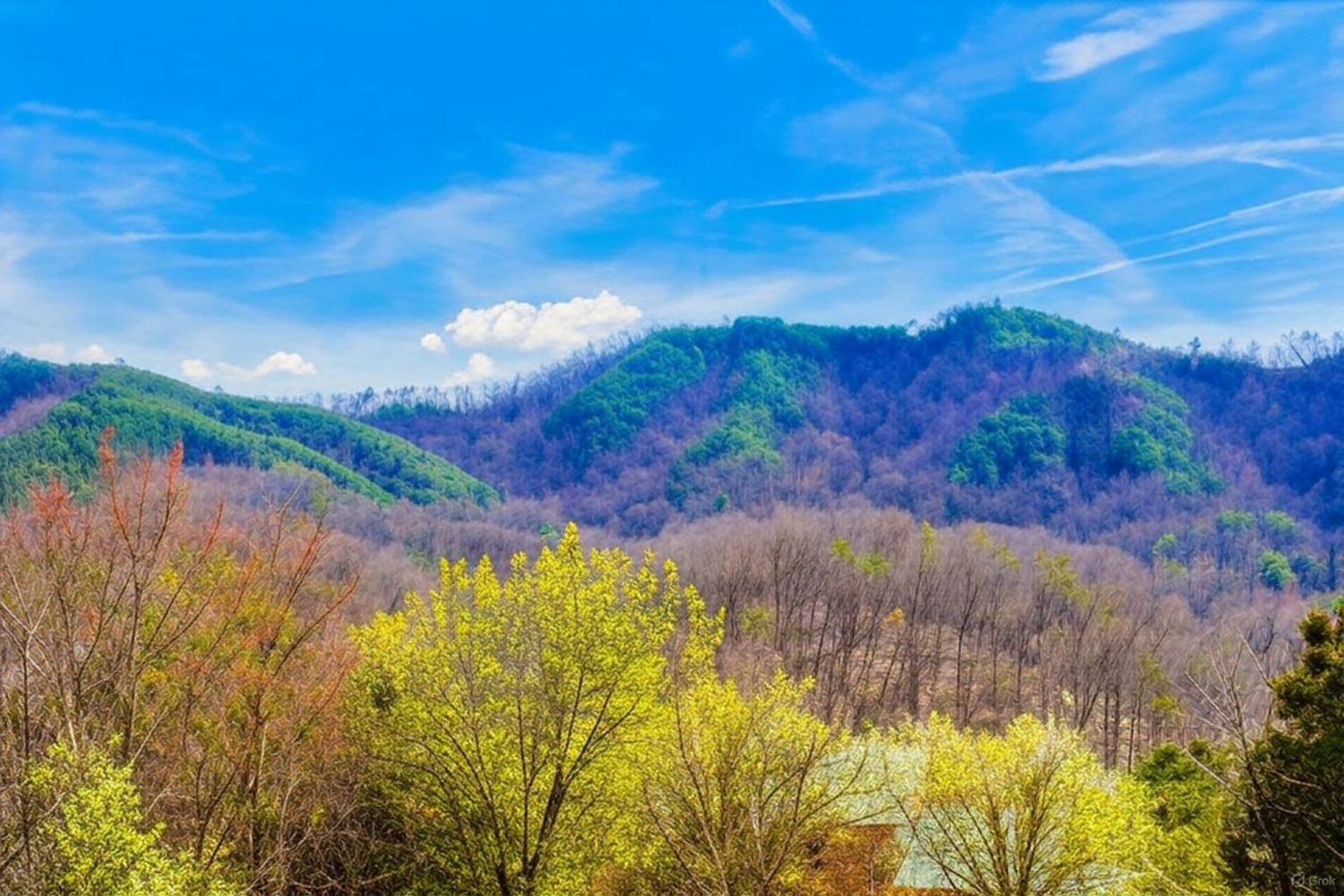 Smoky Bear Lodge With Guest House, Hot Tub, 1089 Free Tickets Each Paid Day, Dollywood And More Sevierville Extérieur photo