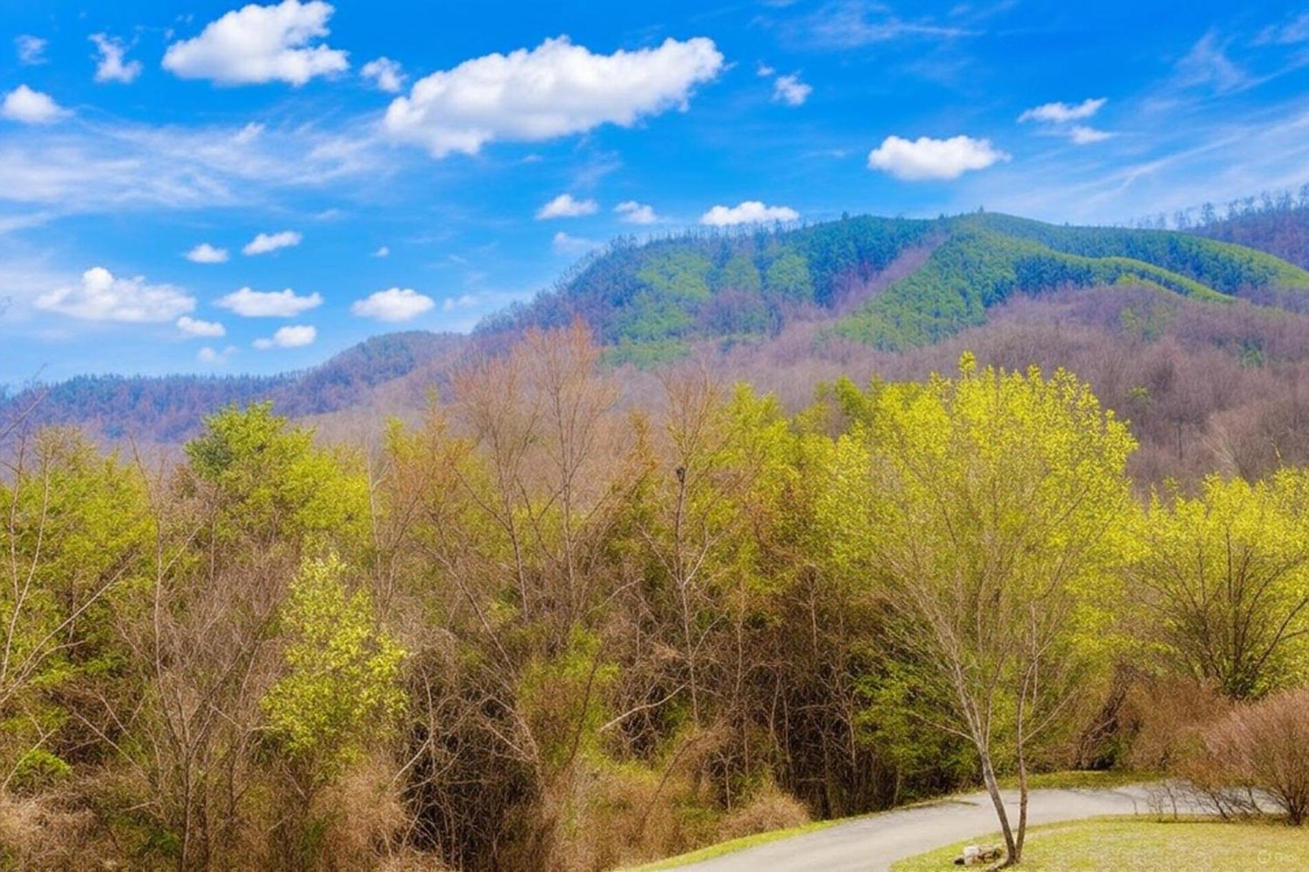 Smoky Bear Lodge With Guest House, Hot Tub, 1089 Free Tickets Each Paid Day, Dollywood And More Sevierville Extérieur photo